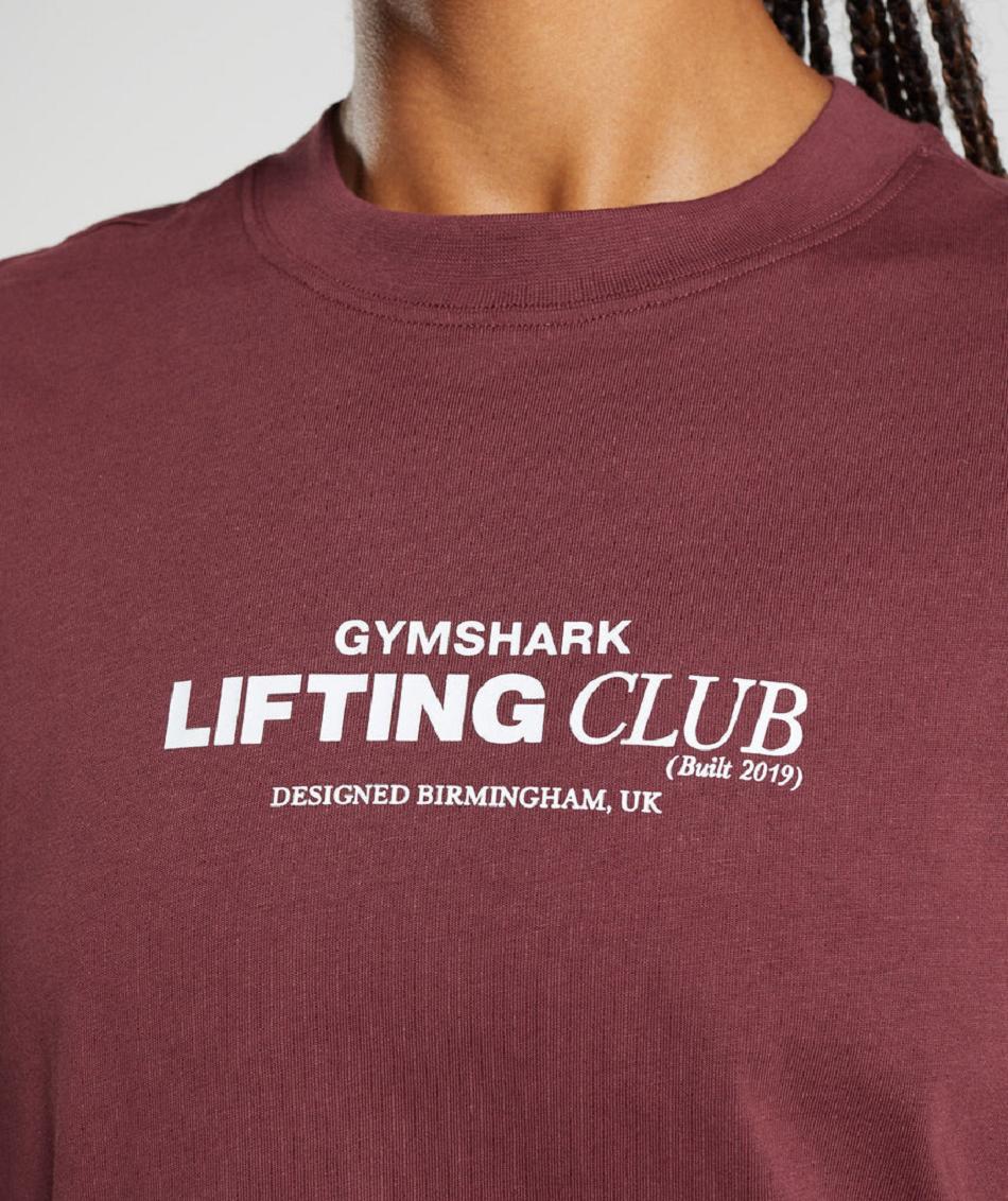 Gymshark Social Club Oversized Ženske T Shirts Roze Smeđe | HR 3299RVD